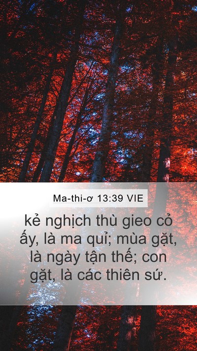 Ma-thi-ơ 13:39 VIE Bible Verse Image
