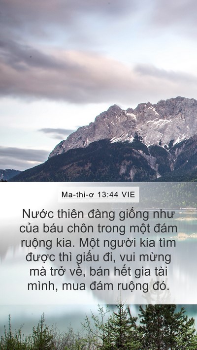 Ma-thi-ơ 13:44 VIE Bible Verse Image
