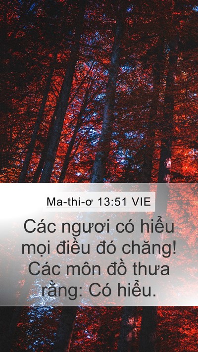 Ma-thi-ơ 13:51 VIE Bible Verse Image