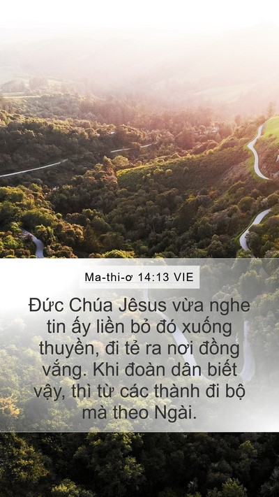 Ma-thi-ơ 14:13 VIE Bible Verse Image