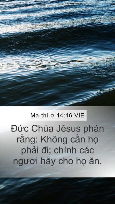 Ma-thi-ơ 14:16 VIE Mobile Phone Wallpaper - Đức Chúa Jêsus phán rằng: Không cần - Mobile Bible Verse Wallpaper