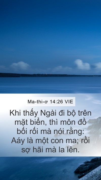 Ma-thi-ơ 14:26 VIE Mobile Phone Wallpaper - Khi thấy Ngài đi bộ trên mặt biển, - Mobile Bible Verse Wallpaper