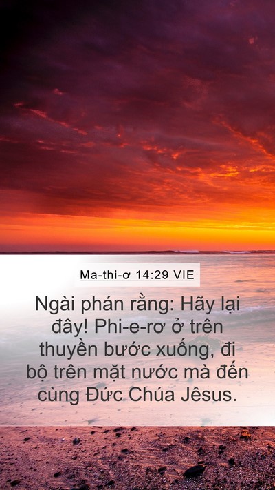 Ma-thi-ơ 14:29 VIE Mobile Phone Wallpaper - Ngài phán rằng: Hãy lại đây! Phi-e-rơ - Mobile Bible Verse Wallpaper