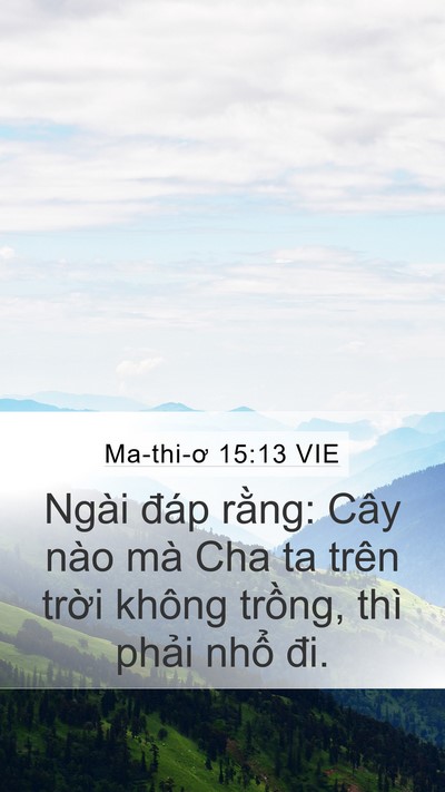 Ma-thi-ơ 15:13 VIE Bible Verse Image