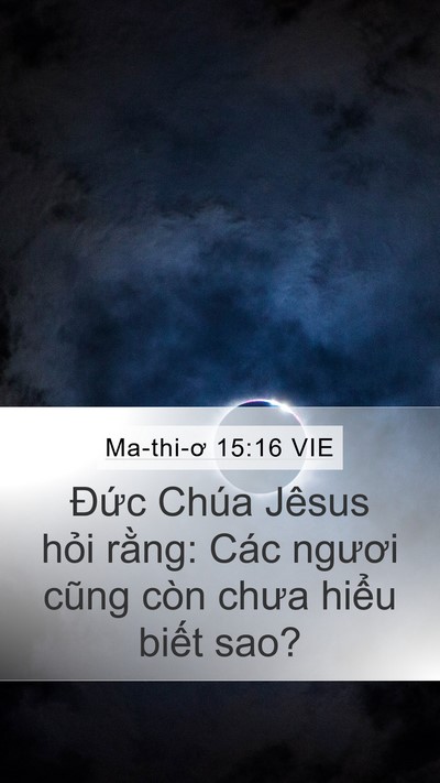 Ma-thi-ơ 15:16 VIE Bible Verse Image