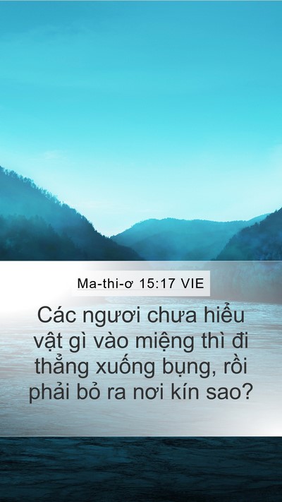 Ma-thi-ơ 15:17 VIE Mobile Phone Wallpaper - Các ngươi chưa hiểu vật gì vào miệng - Mobile Bible Verse Wallpaper