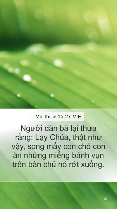 Ma-thi-ơ 15:27 VIE Mobile Phone Wallpaper - Người đàn bà lại thưa rằng: Lạy - Mobile Bible Verse Wallpaper