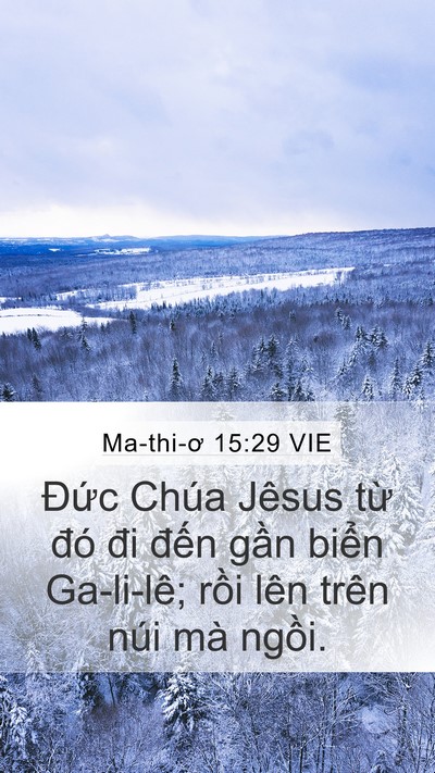 Ma-thi-ơ 15:29 VIE Bible Verse Image