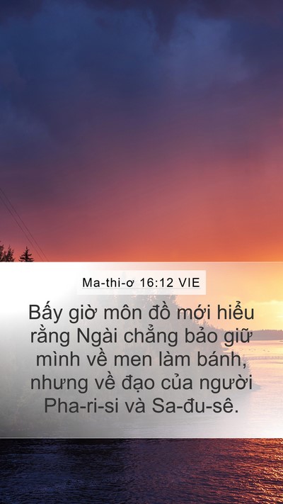 Ma-thi-ơ 16:12 VIE Bible Verse Image