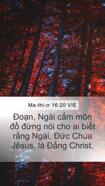 Ma-thi-ơ 16:20 VIE Bible Verse Image