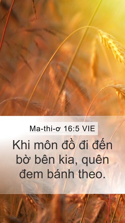 Ma-thi-ơ 16:5 VIE Bible Verse Image