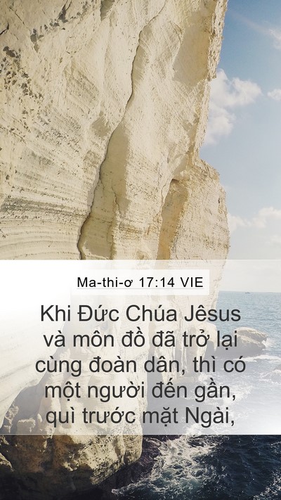 Ma-thi-ơ 17:14 VIE Bible Verse Image