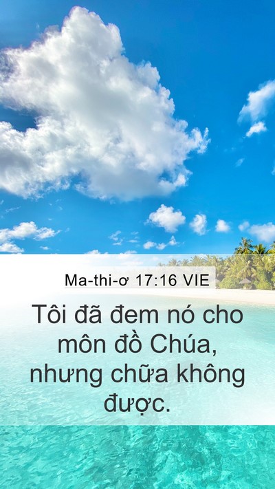 Ma-thi-ơ 17:16 VIE Mobile Phone Wallpaper - Tôi đã đem nó cho môn đồ Chúa, nhưng - Mobile Bible Verse Wallpaper