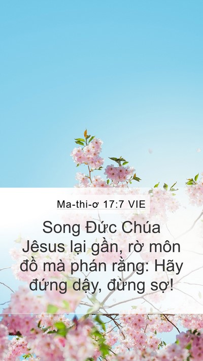 Ma-thi-ơ 17:7 VIE Mobile Phone Wallpaper - Song Đức Chúa Jêsus lại gần, rờ môn - Mobile Bible Verse Wallpaper