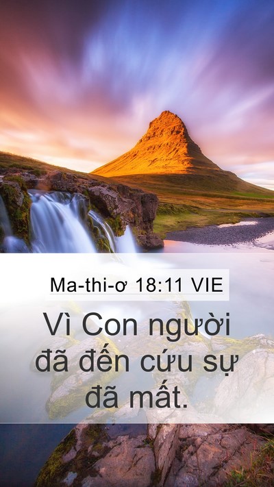 Ma-thi-ơ 18:11 VIE Mobile Phone Wallpaper - Vì Con người đã đến cứu sự đã - Mobile Bible Verse Wallpaper