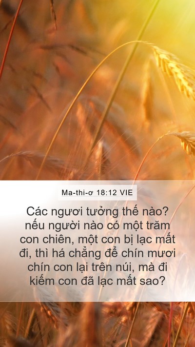 Ma-thi-ơ 18:12 VIE Bible Verse Image