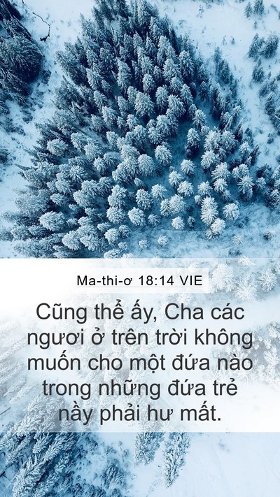 Ma-thi-ơ 18:14 VIE Bible Verse Image