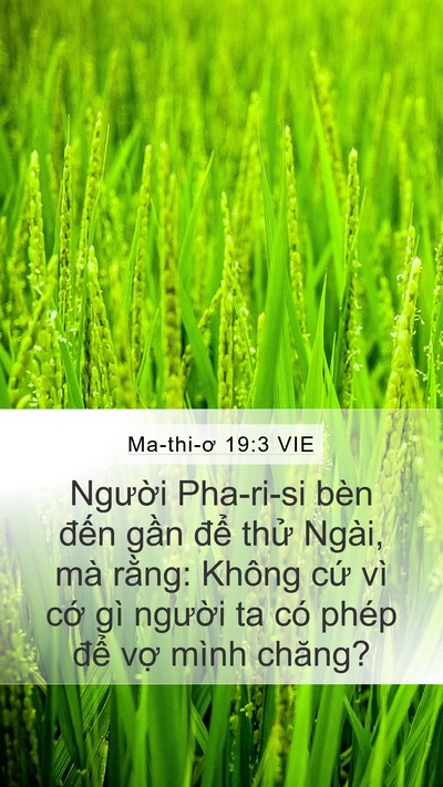 Ma-thi-ơ 19:3 VIE Mobile Phone Wallpaper - Người Pha-ri-si bèn đến gần để thử - Mobile Bible Verse Wallpaper