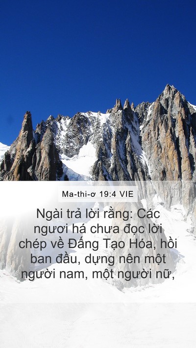 Ma-thi-ơ 19:4 VIE Bible Verse Image
