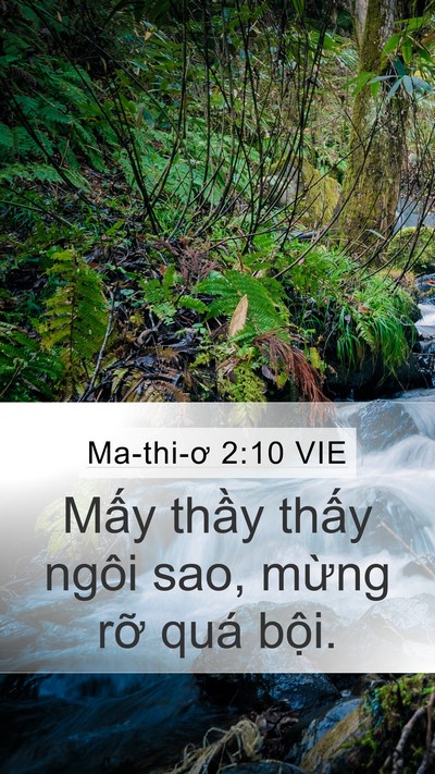 Ma-thi-ơ 2:10 VIE Mobile Phone Wallpaper - Mấy thầy thấy ngôi sao, mừng rỡ quá - Mobile Bible Verse Wallpaper