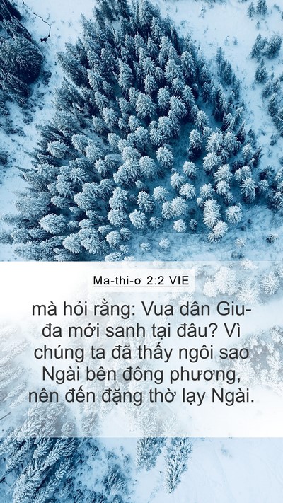 Ma-thi-ơ 2:2 VIE Bible Verse Image