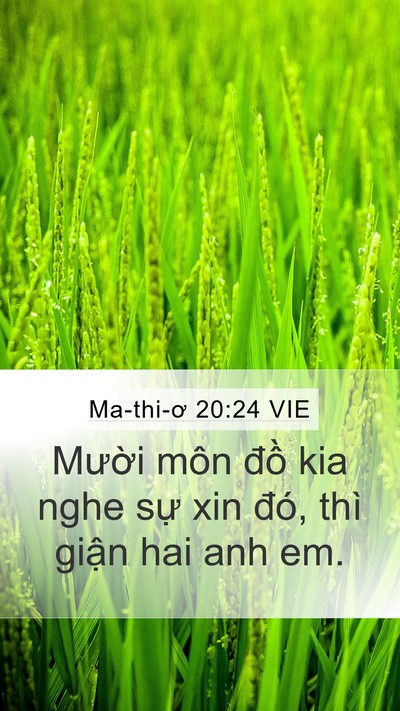 Ma-thi-ơ 20:24 VIE Mobile Phone Wallpaper - Mười môn đồ kia nghe sự xin đó, thì - Mobile Bible Verse Wallpaper