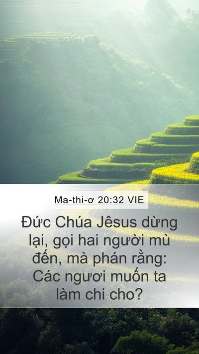 Ma-thi-ơ 20:32 VIE Mobile Phone Wallpaper - Đức Chúa Jêsus dừng lại, gọi hai - Mobile Bible Verse Wallpaper