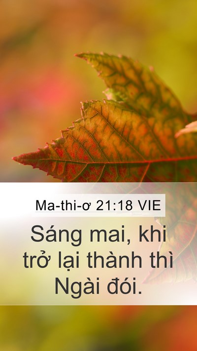 Ma-thi-ơ 21:18 VIE Bible Verse Image