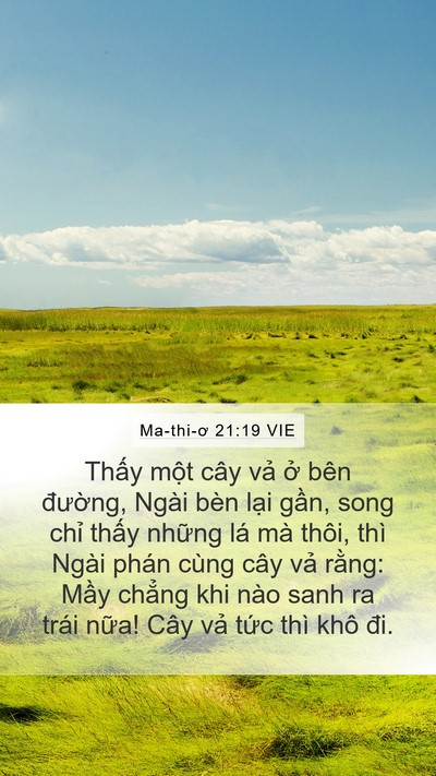 Ma-thi-ơ 21:19 VIE Bible Verse Image
