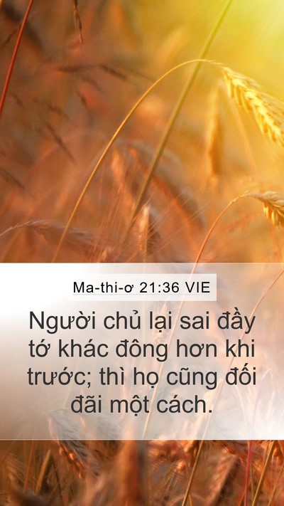 Ma-thi-ơ 21:36 VIE Bible Verse Image