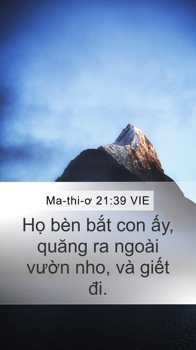 Ma-thi-ơ 21:39 VIE Mobile Phone Wallpaper - Họ bèn bắt con ấy, quăng ra ngoài - Mobile Bible Verse Wallpaper
