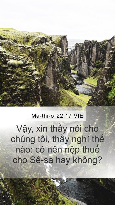 Ma-thi-ơ 22:17 VIE Bible Verse Image