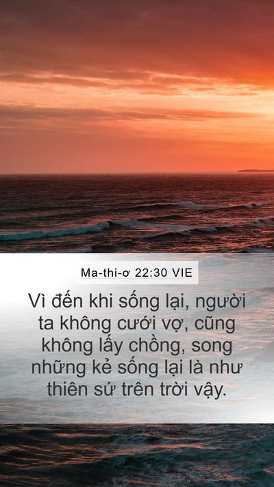 Ma-thi-ơ 22:30 VIE Bible Verse Image