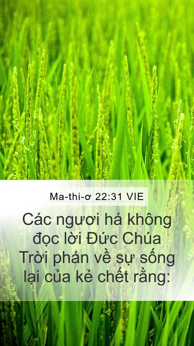 Ma-thi-ơ 22:31 VIE Bible Verse Image