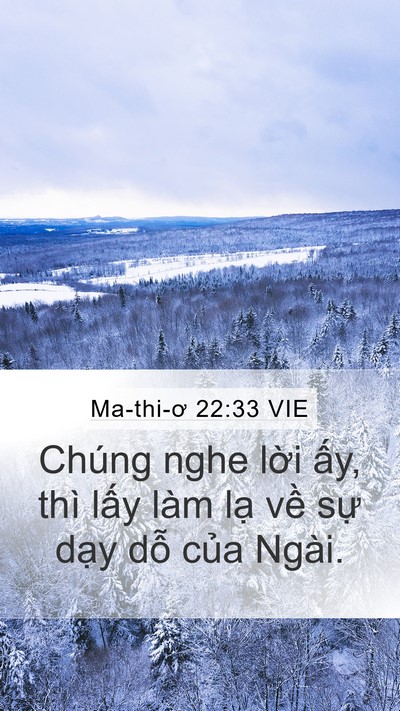 Ma-thi-ơ 22:33 VIE Bible Verse Image