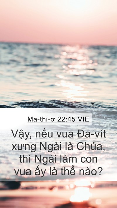Ma-thi-ơ 22:45 VIE Mobile Phone Wallpaper - Vậy, nếu vua Đa-vít xưng Ngài là Chúa, - Mobile Bible Verse Wallpaper