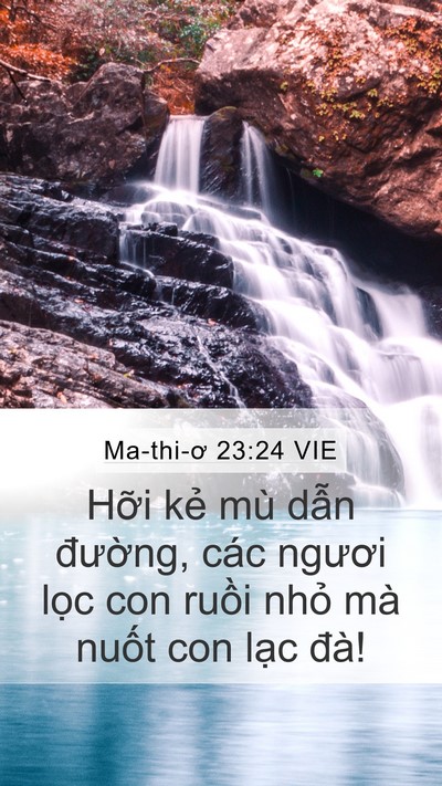Ma-thi-ơ 23:24 VIE Bible Verse Image