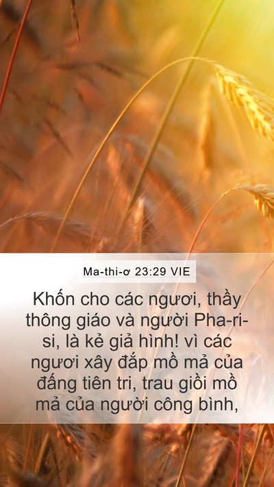 Ma-thi-ơ 23:29 VIE Bible Verse Image