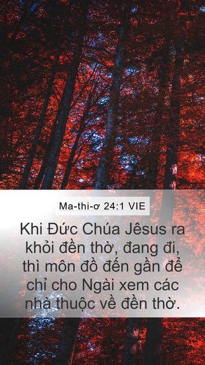 Ma-thi-ơ 24:1 VIE Mobile Phone Wallpaper - Khi Đức Chúa Jêsus ra khỏi đền thờ, - Mobile Bible Verse Wallpaper