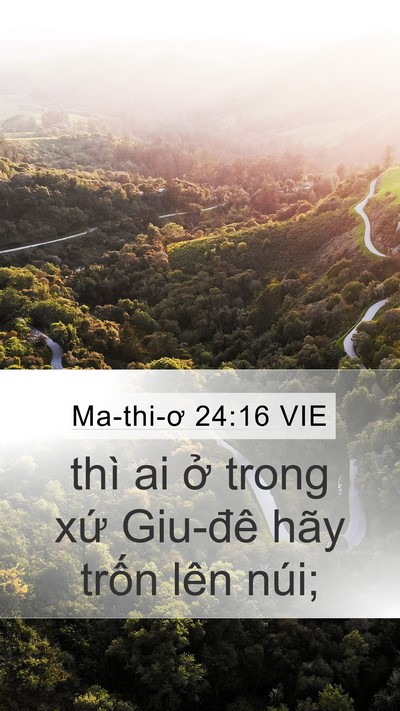 Ma-thi-ơ 24:16 VIE Mobile Phone Wallpaper - thì ai ở trong xứ Giu-đê hãy trốn lên - Mobile Bible Verse Wallpaper