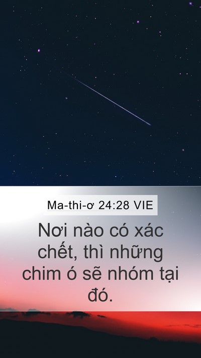 Ma-thi-ơ 24:28 VIE Bible Verse Image