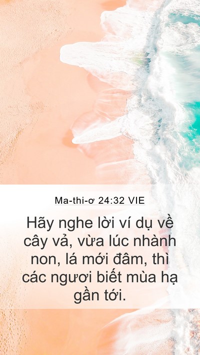 Ma-thi-ơ 24:32 VIE Bible Verse Image