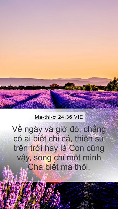 Ma-thi-ơ 24:36 VIE Bible Verse Image