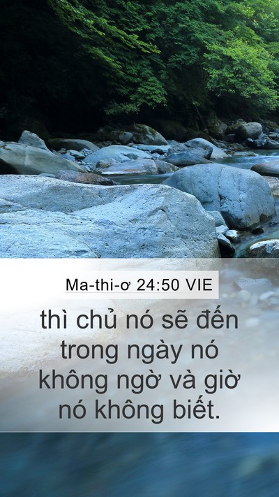 Ma-thi-ơ 24:50 VIE Bible Verse Image