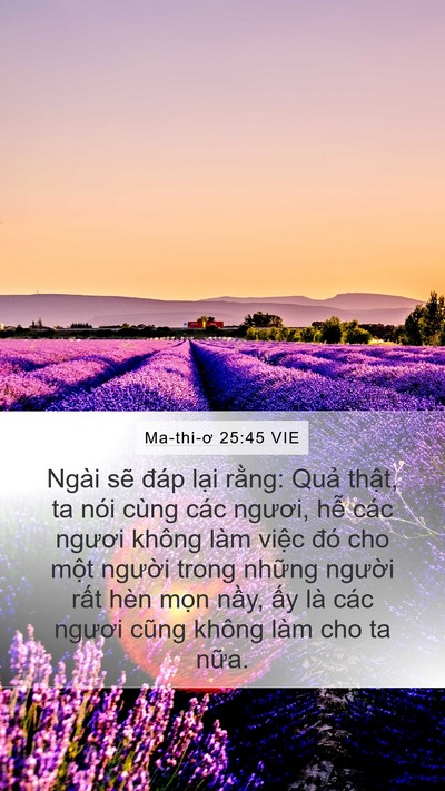 Ma-thi-ơ 25:45 VIE Bible Verse Image