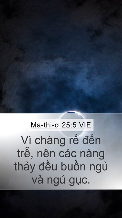 Ma-thi-ơ 25:5 VIE Bible Verse Image