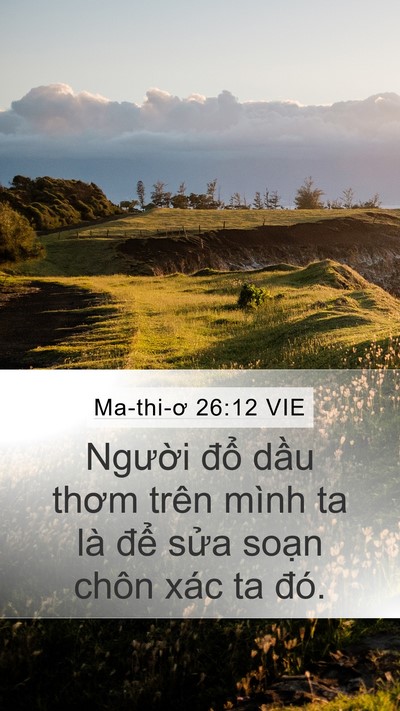 Ma-thi-ơ 26:12 VIE Mobile Phone Wallpaper - Người đổ dầu thơm trên mình ta là - Mobile Bible Verse Wallpaper