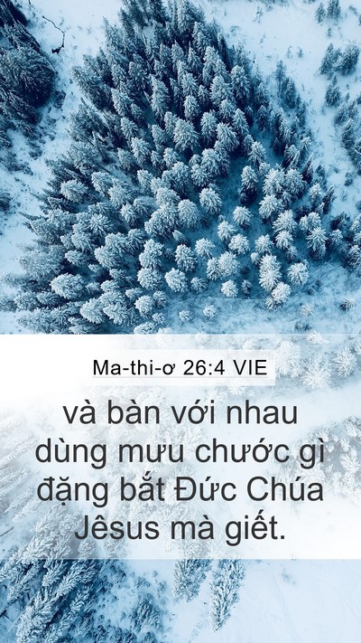 Ma-thi-ơ 26:4 VIE Mobile Phone Wallpaper - và bàn với nhau dùng mưu chước gì - Mobile Bible Verse Wallpaper