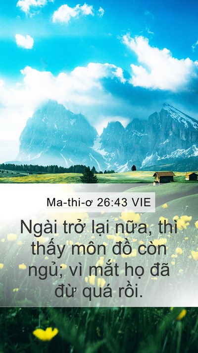 Ma-thi-ơ 26:43 VIE Bible Verse Image