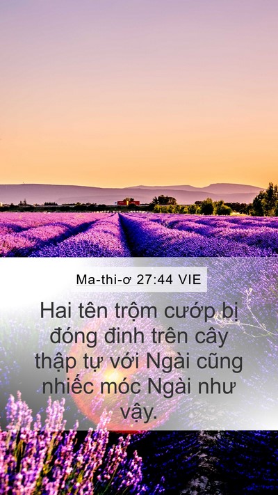 Ma-thi-ơ 27:44 VIE Bible Verse Image